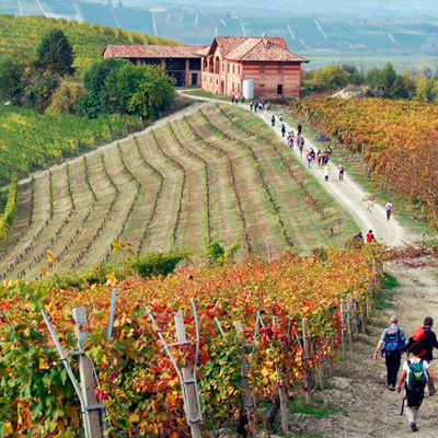 museo-cavatappi-PASSEGGIATE